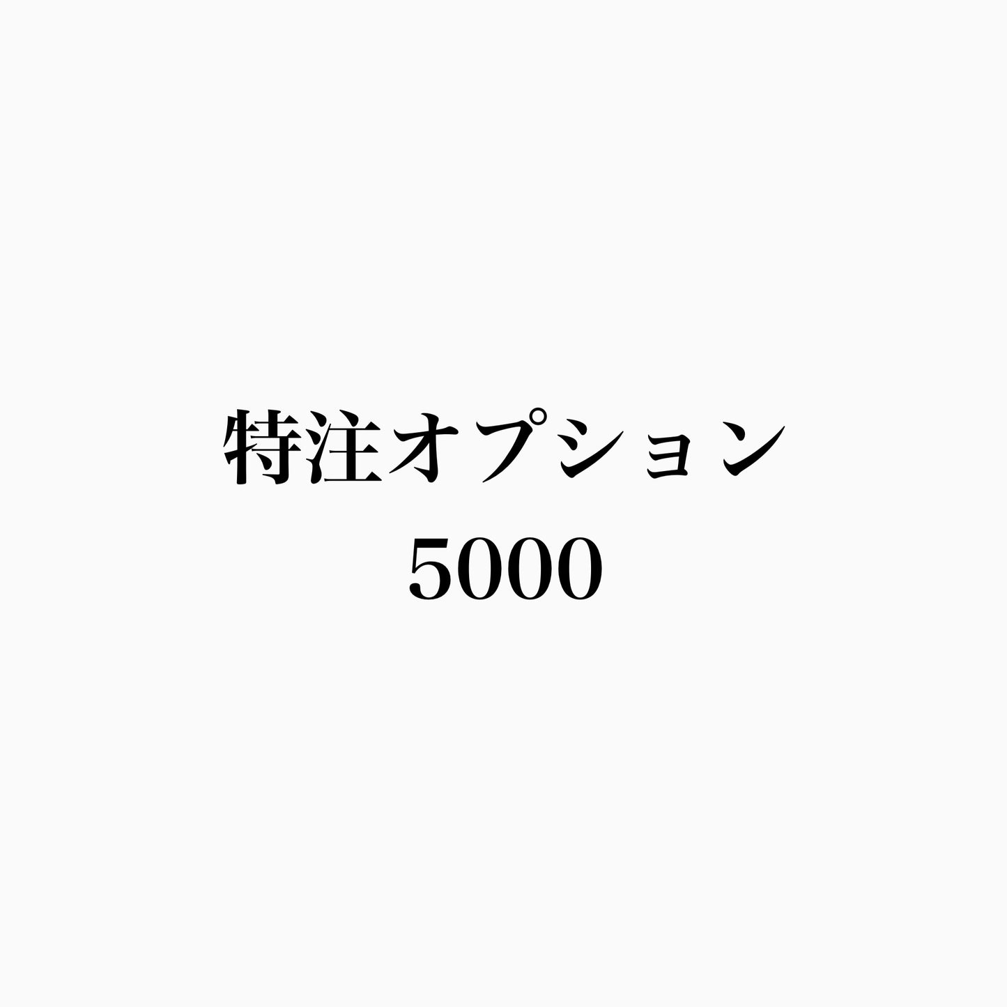 特注オプション5000
