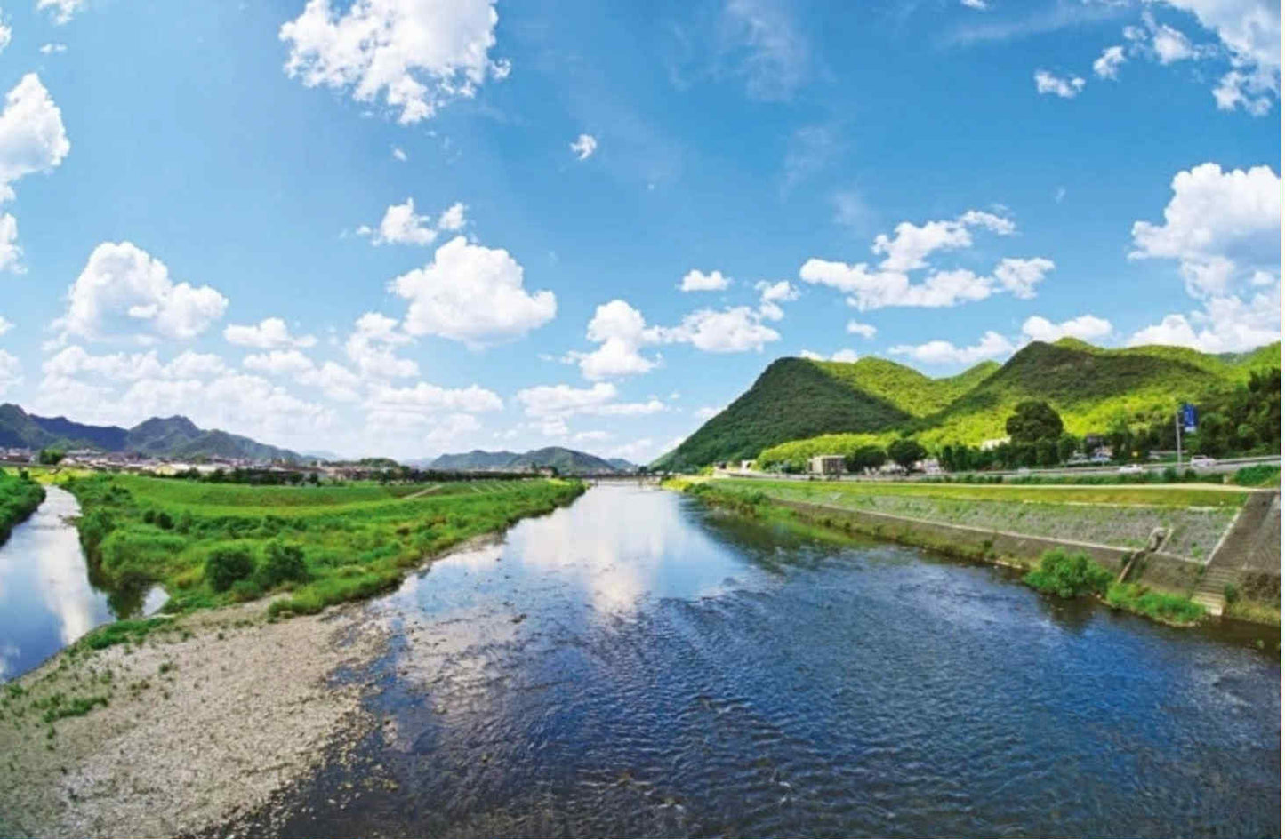 【ハンカチ】｜播州織　ミニハンカチ　グリーン　22cm×22cm｜